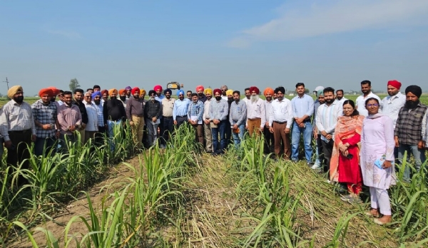 ਰਿਆੜ ਫਾਰਮ ਭਾਮੜੀ ਵਿਖੇ ਗੰਨੇ ਦੀ ਫ਼ਸਲ ਤੇ ਰਾਜ ਪੱਧਰੀ ਖੇਤ ਦਿਵਸ ਮਨਾਇਆ