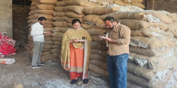 ਖੇਤੀਬਾੜੀ ਵਿਭਾਗ ਵੱਲੋਂ ਕਪਾਹ ਦੀ ਫਸਲ ਨੂੰ ਗੁਲਾਬੀ ਸੁੰਡੀ ਤੋਂ ਬਚਾਉਣ ਲਈ ਰੱਖੀ ਜਾ ਰਹੀ ਹੈ ਨਿਗਰਾਨੀ