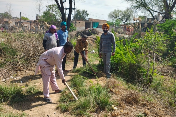 ਪਿੰਡ ਚਾਹਲਾਂ ਵਾਲੀ ਵਿੱਚ ਕਪਾਹ ਦੀ ਫਸਲ ਨੂੰ ਚਿੱਟੀ ਮੱਖੀ ਦੇ ਹਮਲੇ ਤੋਂ ਬਚਾਉਣ ਲਈ ਵਿਸ਼ੇਸ਼ ਮੁਹਿੰਮ