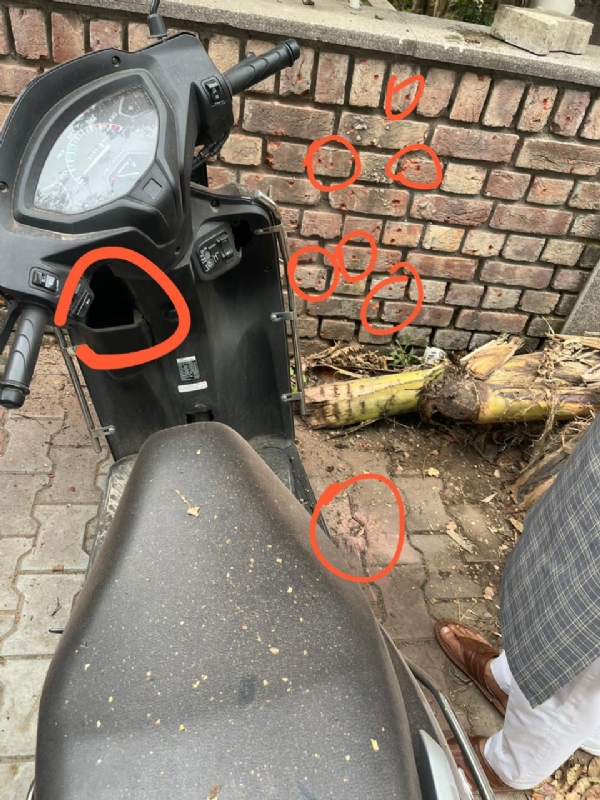 ਚੰਡੀਗੜ੍ਹ ਵਿੱਚ ਪੰਜਾਬ ਭਾਜਪਾ ਹੈੱਡਕੁਆਰਟਰ ਦੇ ਬਾਹਰ ਖੜ੍ਹਾ ਸਕੂਟੀ ਜਿਸਦੇ ਨੇੜੇ ਧਮਾਕਾ ਹੋਇਆ।