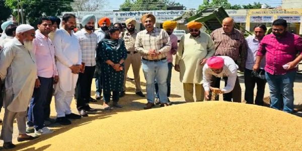 ਐਸ.ਡੀ.ਐਮ ਮਾਲੇਰਕੋਟਲਾ ਨੇ ਅਨਾਜ ਮੰਡੀ ‘ਚ ਕਣਕ ਦੀ ਖ਼ਰੀਦ ਲਈ ਕੀਤੇ ਪ੍ਰਬੰਧਾਂ ਦਾ ਲਿਆ ਜਾਇਜ਼ਾ