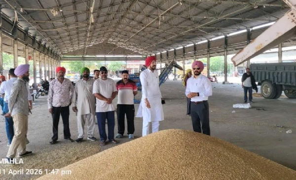 ਚੇਅਰਮੈਨ ਗਿੱਲ ਨੇ ਲੁਧਿਆਣਾ ਅਨਾਜ ਮੰਡੀ ਵਿਖੇ ਕਣਕ ਦੀ ਖਰੀਦ ਦਾ ਲਿਆ ਜਾਇਜ਼ਾ