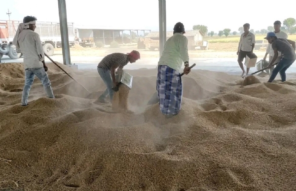 ਮੰਡੀ ਵਿੱਚ ਪਹੁੰਚੀ ਫਸਲ