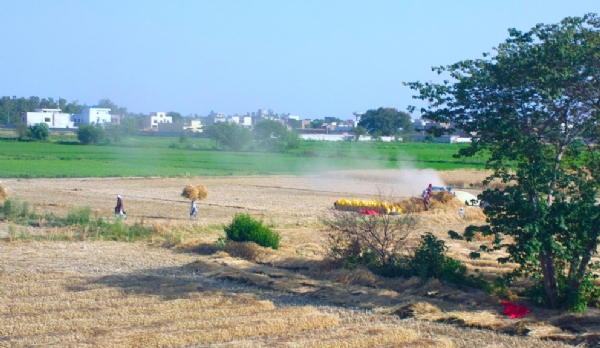 ਗਰਮੀ ਦੀ ਫਾਈਲ ਫੋਟੋ।