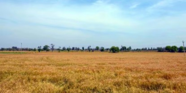 ਮੋਸਮ ਦੀ ਫੋਟੋ। ਮੋਸਮ ਦੀ ਫੋਟੋ।