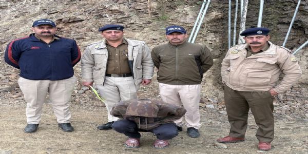 ਚਿੱਟਾ ਬਰਾਮਦਗੀ ਮਾਮਲੇ ’ਚ ਸਪਲਾਇਰ ਤੱਕ ਪਹੁੰਚੀ ਸ਼ਿਮਲਾ ਪੁਲਿਸ, ਚੰਡੀਗੜ੍ਹ ਤੋਂ ਗ੍ਰਿਫ਼ਤਾਰੀ