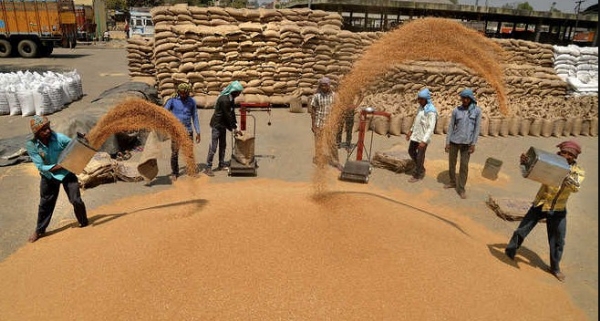 ਹਰਿਆਣਾ ਦੀ ਮੰਡੀ ’ਚ ਕਣਕ ਦੀ ਆਮਦ।