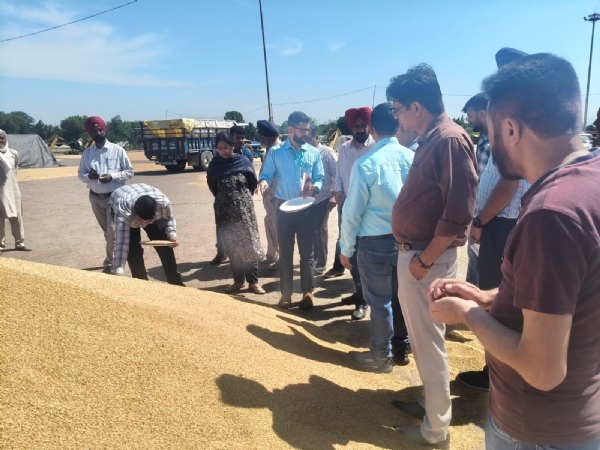 ਮੰਡੀ ਦਾ ਦੌਰਾ ਕਰਦੇ ਹੋਏ ਅਧਿਕਾਰੀ।