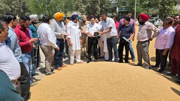 ਡਿਪਟੀ ਕਮਿਸ਼ਨਰ ਅਮਿਤ ਕੁਮਾਰ ਪੰਚਾਲ ਦਾਣਾ ਮੰਡੀ ਸ੍ਰੀ ਮੁਕਤਸਰ ਸਾਹਿਬ ਦਾ ਦੌਰਾ ਕਰਦ ਹੋਏ। ਡਿਪਟੀ ਕਮਿਸ਼ਨਰ ਅਮਿਤ ਕੁਮਾਰ ਪੰਚਾਲ ਦਾਣਾ ਮੰਡੀ ਸ੍ਰੀ ਮੁਕਤਸਰ ਸਾਹਿਬ ਦਾ ਦੌਰਾ ਕਰਦ ਹੋਏ।