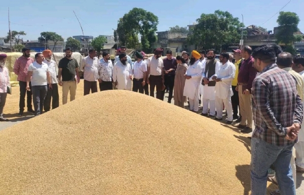 ਕਣਕ ਦੀ ਖ਼ਰੀਦ ਸ਼ੁਰੂਆਤ ਕਰਵਾਉਂਦੇ ਵਿਧਾਇਕ ਜਸਵੀਰ ਸਿੰਘ ਰਾਜਾ ਗਿੱਲ ਅਤੇ ਡਿਪਟੀ ਕਮਿਸ਼ਨਰ ਆਸ਼ਿਕਾ ਜੈਨ ਕਣਕ ਦੀ ਖ਼ਰੀਦ ਸ਼ੁਰੂਆਤ ਕਰਵਾਉਂਦੇ ਵਿਧਾਇਕ ਜਸਵੀਰ ਸਿੰਘ ਰਾਜਾ ਗਿੱਲ ਅਤੇ ਡਿਪਟੀ ਕਮਿਸ਼ਨਰ ਆਸ਼ਿਕਾ ਜੈਨ