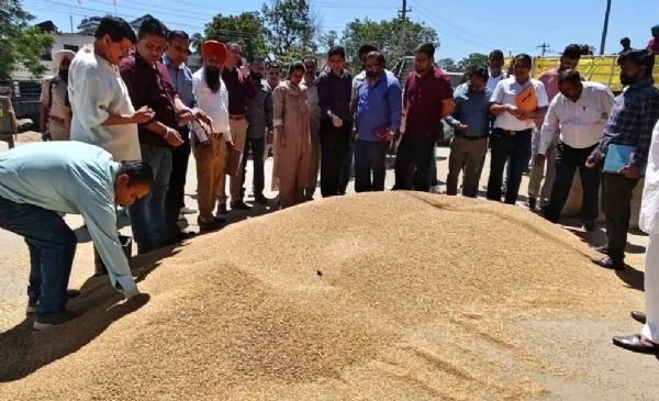 ਦਾਣਾ ਮੰਡੀ ਦਾ ਦੌਰਾ ਕਰਦੇ ਹੋਏ ਡਿਪਟੀ ਕਮਿਸ਼ਨਰ ਆਸ਼ਿਕਾ ਜੈਨ