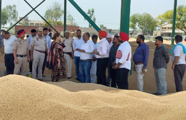 ਅਨਾਜ ਮੰਡੀ ਵਿੱਚ ਕਣਕ ਦੀ ਸਰਕਾਰੀ ਖਰੀਦ ਸਬੰਧੀ ਕੀਤੇ ਗਏ ਪ੍ਰਬੰਧਾਂ ਦਾ ਜਾਇਜ਼ਾ ਲੈਂਦੇ ਡਿਪਟੀ ਕਮਿਸ਼ਨਰ ਅਮਰਪ੍ਰੀਤ ਕੌਰ ਸੰਧੂ