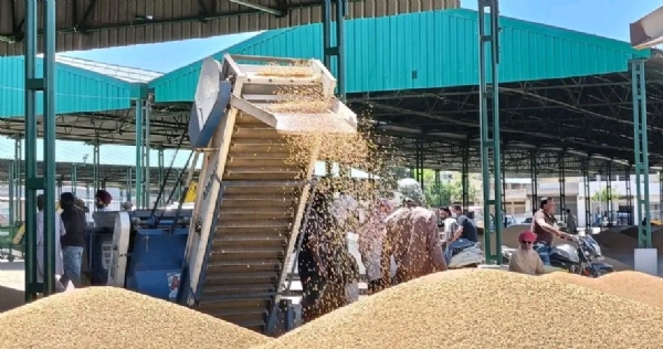 ਦਾਣਾ ਮੰਡੀ ਬਰਨਾਲਾ