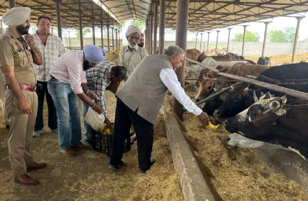 ਗਊਸ਼ਾਲਾ ਦੇ ਦੌਰੇ ਦੌਰਾਨ ਅਸ਼ੋਕ ਕੁਮਾਰ ਸਿੰਗਲਾ ਚੇਅਰਮੈਨ ਪੰਜਾਬ ਗਊ ਸੇਵਾ ਕਮਿਸ਼ਨ