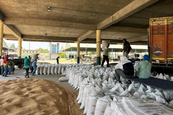 ਬਠਿੰਡਾ ਜ਼ਿਲ੍ਹੇ ਦੀ ਇੱਕ ਮੰਡੀ ਵਿੱਚ ਕਣਕ ਦੀ ਜਾਰੀ ਲਿਫਟਿੰਗ