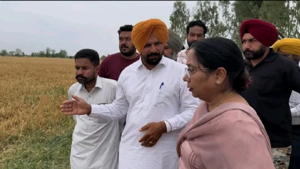 ਗੜ੍ਹੇਮਾਰੀ ਨਾਲ ਹੋਏ ਨੁਕਸਾਨ ਦਾ ਜਾਇਜ਼ਾ ਲੈਂਦੇ ਹੋਏ ਕੈਬਨਿਟ ਮੰਤਰੀ ਡਾ. ਬਲਜੀਤ ਕੌਰ