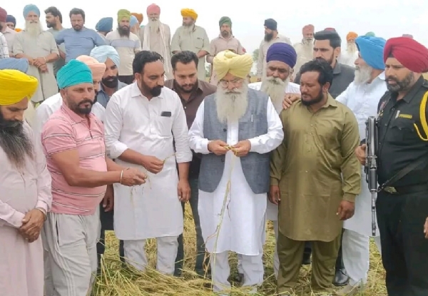 ਗੜ੍ਹੇਮਾਰੀ ਕਾਰਨ ਹੋਏ ਨੁਕਸਾਨ ਦਾ ਜਾਇਜ਼ਾ ਲੈਂਦੇ ਖੇਤੀਬਾੜੀ ਮੰਤਰੀ