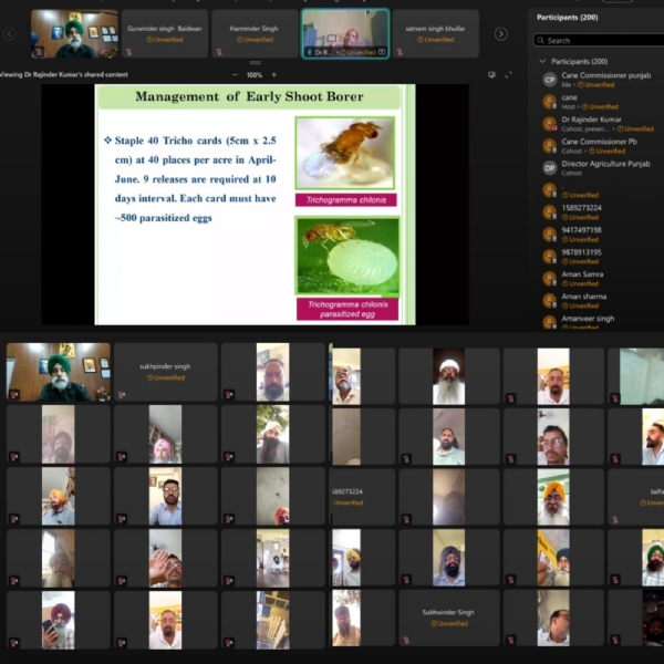 ਆਨਲਾਈਨ ਵੈਬੀਨਾਰ