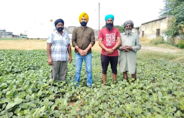 ਕਿਸਾਨਾਂ ਦੇ ਨਾਲ ਖੇਤੀਬਾੜੀ ਵਿਭਾਗ ਦੇ ਅਧਿਕਾਰੀ।