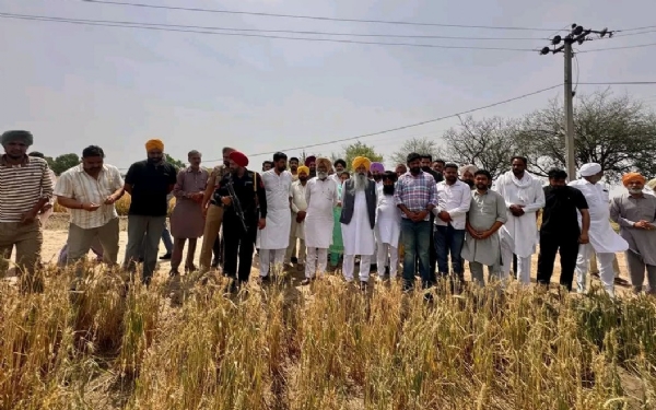 ਪਿੰਡ ਚੰਨੂ ਵਿਖੇ ਹੋਏ ਫਸਲਾਂ ਦੇ ਨੁਕਸਾਨ ਦਾ ਜਾਇਜ਼ਾ ਲੈਂਦੇ ਖੇਤੀਬਾੜੀ ਮੰਤਰੀ ਪਿੰਡ ਚੰਨੂ ਵਿਖੇ ਹੋਏ ਫਸਲਾਂ ਦੇ ਨੁਕਸਾਨ ਦਾ ਜਾਇਜ਼ਾ ਲੈਂਦੇ ਖੇਤੀਬਾੜੀ ਮੰਤਰੀ