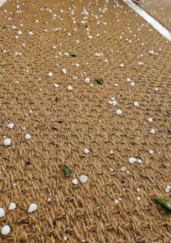 ਸ੍ਰੀ ਹਰਮੰਦਰ ਸਾਹਿਬ ਅੰਮ੍ਰਿਤਸਰ ਵਿਖੇ ਹੋਈ ਗੜ੍ਹੇਮਾਰੀ ਦਾ ਦ੍ਰਿਸ਼।