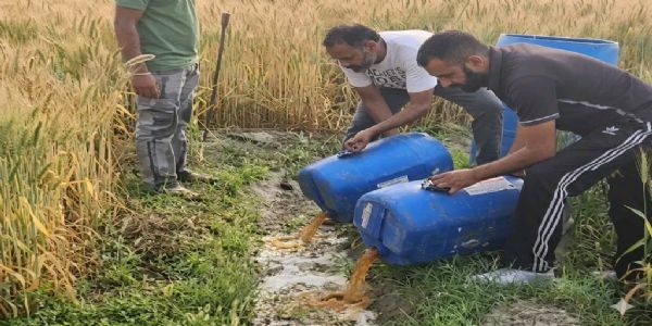 ਜਲਾਲਾਬਾਦ ਵਿੱਚ 1000 ਲੀਟਰ ਨਾਜਾਇਜ਼ ਲਾਹਣ ਜ਼ਬਤ