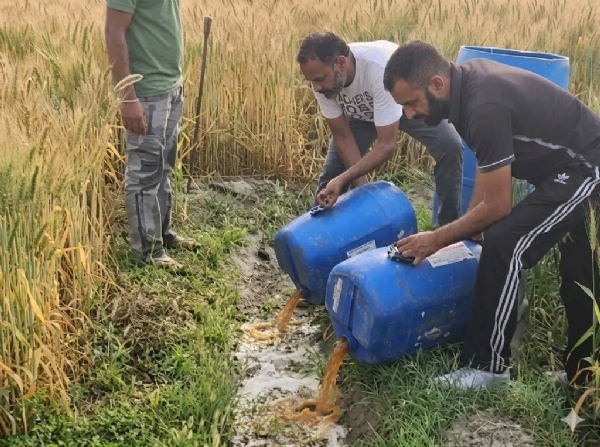 ਲਾਹਣ ਨਸ਼ਟ ਕਰਦੇ ਹੋਏ ਅਧਿਕਾਰੀ।