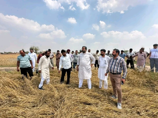 ਜਾਇਜਾ ਲੈਂਦੇ ਹੋਏ ਵਿਧਾਇਕ ਜਗਦੀਪ ਕੰਬੋਜ ਗੋਲਡੀ।