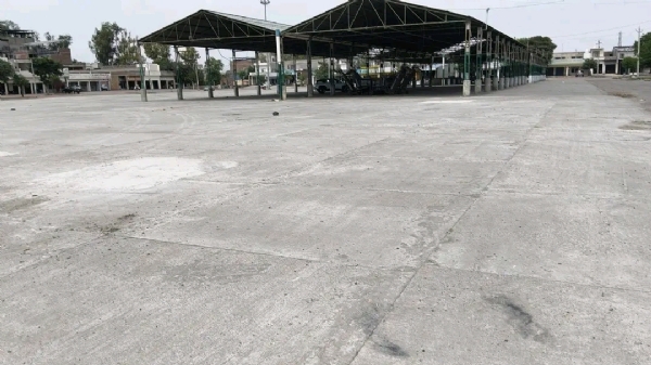 ਫਾਈਲ ਫੋਟੋ ਅਨਾਜ ਮੰਡੀ ਫਾਈਲ ਫੋਟੋ ਅਨਾਜ ਮੰਡੀ