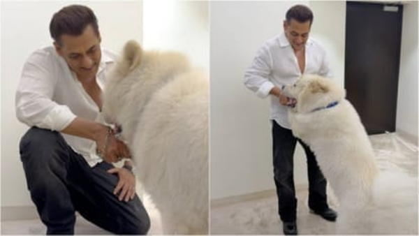 ਸਲਮਾਨ ਖਾਨ (ਫੋਟੋ ਸਰੋਤ: ਐਕਸ)