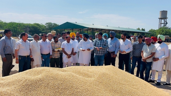 ਮੰਡੀ ਦਾ ਦੌਰਾ ਕਰਦੇ ਹੋਏ ਵਿਧਾਇਕ ਰੰਧਾਵਾ।