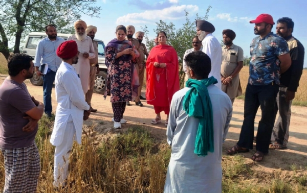 ਗੜ੍ਹੇਮਾਰੀ ਨਾਲ ਨੁਕਸਾਨੀ ਫਸਲਾਂ ਦਾ ਮੁਆਇਨਾ ਕਰਦੇ ਹੋਏ ਡਿਪਟੀ ਕਮਿਸ਼ਨਰ ਫਾਜ਼ਿਲਕਾ ਗੜ੍ਹੇਮਾਰੀ ਨਾਲ ਨੁਕਸਾਨੀ ਫਸਲਾਂ ਦਾ ਮੁਆਇਨਾ ਕਰਦੇ ਹੋਏ ਡਿਪਟੀ ਕਮਿਸ਼ਨਰ ਫਾਜ਼ਿਲਕਾ