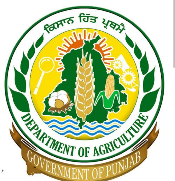 ਪ੍ਰਤੀਕਾਤਮਕ