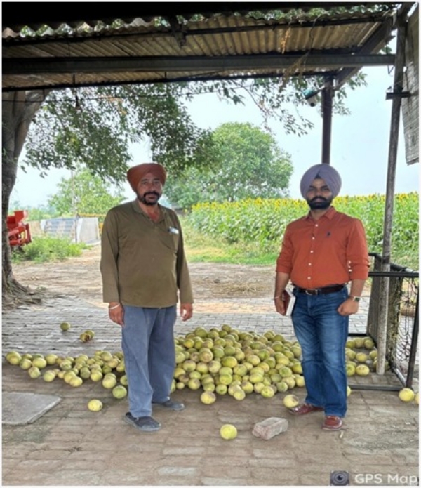 ਕਿਸਾਨਾਂ ਨੂੰ ਜਾਣਕਾਰੀ ਦਿੰਦੇ ਹੋਏ  ਬਾਗਬਾਨੀ ਅਫਸਰ