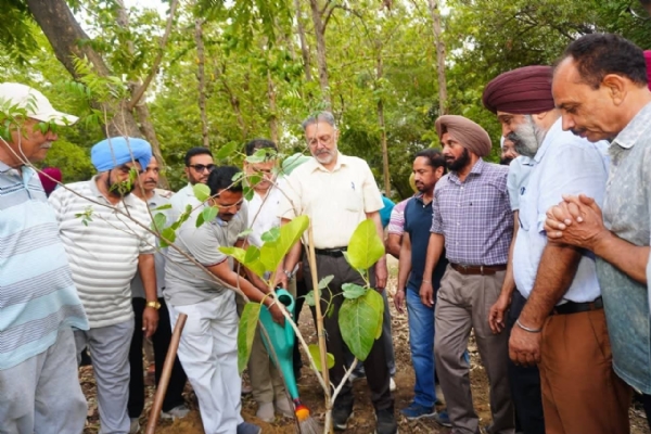 ਬੂਟੇ ਨੂੰ ਪਾਣੀ ਦਿੰਦੇ ਹੋਏ ਮੰਤਰੀ ਡਾ. ਬਲਬੀਰ ਸਿੰਘ ।
