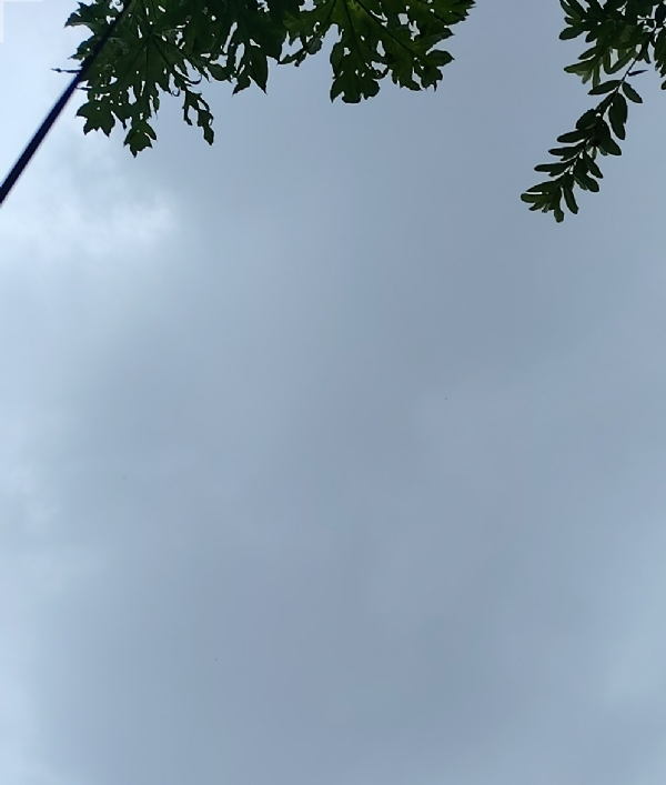 ਉੱਤਰਾਖੰਡ ਵਿੱਚ ਮੌਸਮ ਉੱਤਰਾਖੰਡ ਵਿੱਚ ਮੌਸਮ