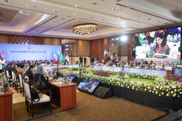 Representatives of AYUSH and Health Department of various countries participating in the BRICS conference
