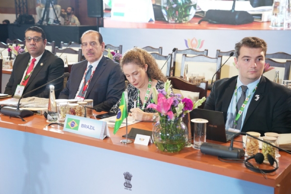 Representatives of AYUSH and Health Department of various countries participating in the BRICS conference