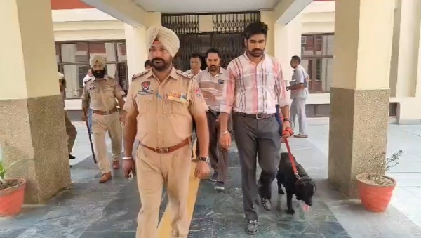 ਸਰਚ ਕਰਦੀ ਹੋਈ ਪੁਲਿਸ।