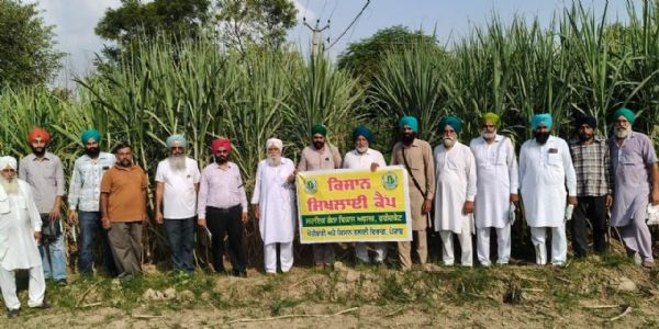 ਖੇਤੀ ਵਿਭਿੰਨਤਾ ਤਹਿਤ ਗੰਨੇ ਦੀ ਬਿਜਾਈ ਲਈ ਕਿਸਾਨ ਸਿਖਲਾਈ ਕੈਂਪ ਲਗਾਇਆ