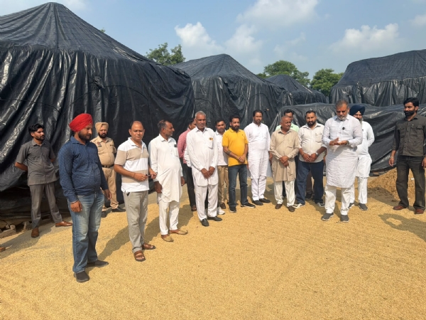 ਲਾਲੜੂ ਅਨਾਜ ਮੰਡੀ ਵਿੱਚ ਕਿਸਾਨਾਂ ਦੀਆਂ ਸਮੱਸਿਆਵਾਂ ਸੁਣਦੇ ਅਤੇ ਕਣਕ ਦੇ ਢੇਰ ਦਿਖਾਉਂਦੇ ਸਾਬਕਾ ਵਿਧਾਇਕ ਐਨ.ਕੇ. ਸ਼ਰਮਾ