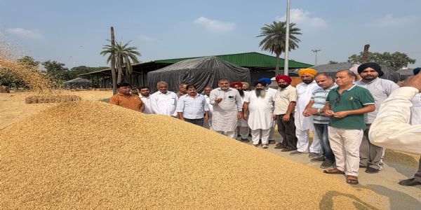 ਲਾਲੜੂ ਅਨਾਜ ਮੰਡੀ ਵਿੱਚ ਝੋਨੇ ਦੀ ਬੇਕਦਰੀ ਦੇ ਮੁੱਦੇ ’ਤੇ ਅਕਾਲੀ ਦਲ ਦੀ ਚੇਤਾਵਨੀ