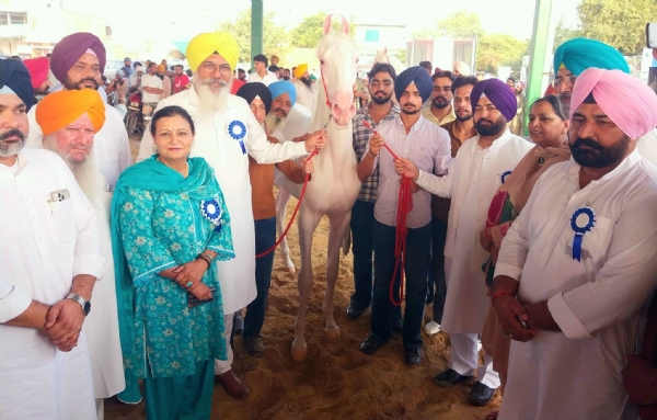 ਫਰੀਦਕੋਟ ਪਸ਼ੂਧਨ ਮੇਲੇ ’ਚ ਕੈਬਨਿਟ ਮੰਤਰੀ ਮੁੰਡੀਆਂ ਅਤੇ ਵਿਧਾਇਕ ਸੇਖੋਂ ਤਸਵੀਰ ਸਾਂਝੀ ਕਰਵਾਉਂਦੇ ਹੋਏ।